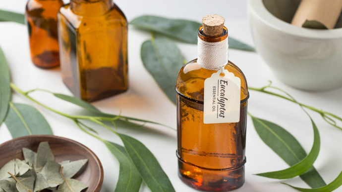 Eucalyptus Essential Oil Safety: Precautions and Best Practices for Use in the Home