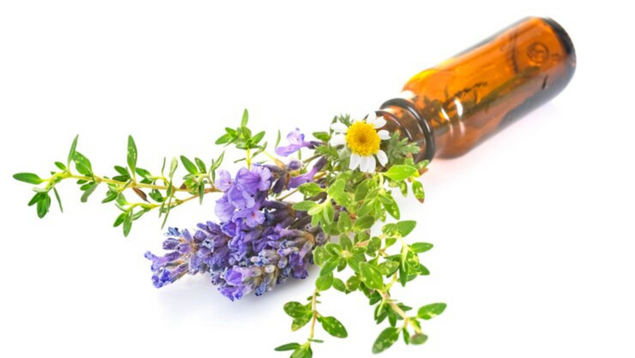 Natural Haircare Delight: Why Lavender Mint Shampoo Should Be Your Go-To