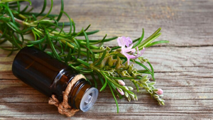 Rosemary Oil: Aromatic Therapy Insights