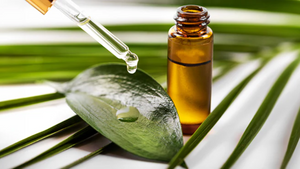 The Ultimate Guide to Using Tea Tree Oil for Haircare: Tips and Tricks for Healthy Locks