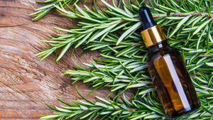 Tea Tree Oil for Summer: Sunburn Relief and Insect Repellent