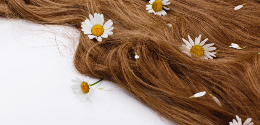 10 Essential Oils for Hair Growth, Hair Loss, Dry Hair & Oily Hair!