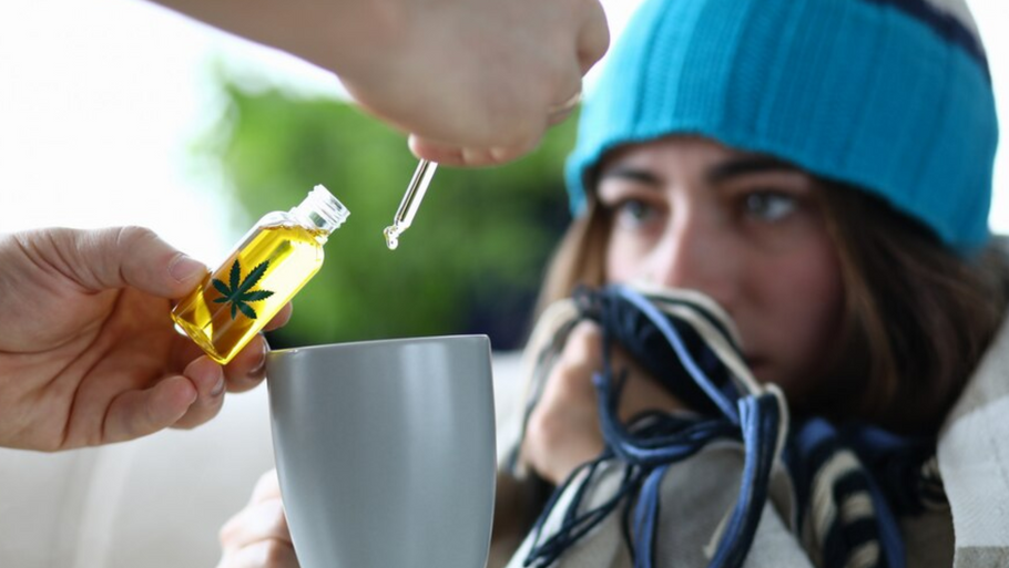 Essential Oils for Cold and Flu Season: How to Protect Yourself Naturally
