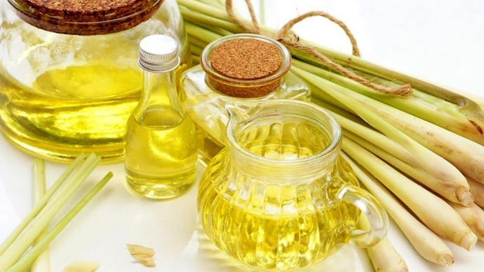 Unwinding Naturally: Harnessing Lemongrass Essential Oil for Stress Relief