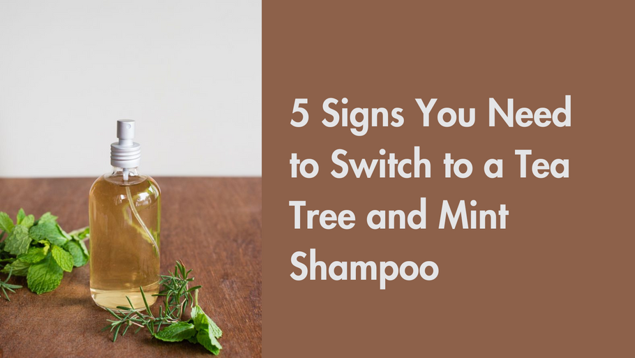 5 Signs You Need to Switch to a Tea Tree and Mint Shampoo