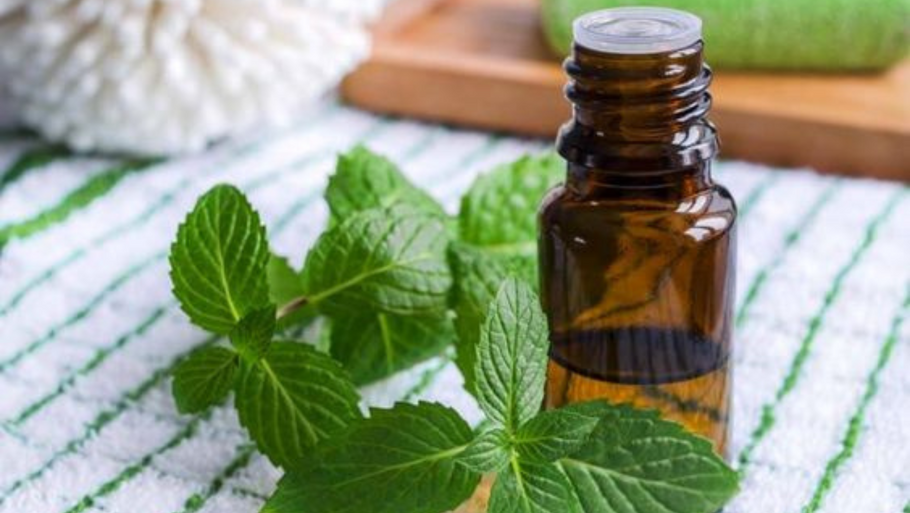 Peppermint Essential Oil for Digestion: Soothe Your Stomach Naturally