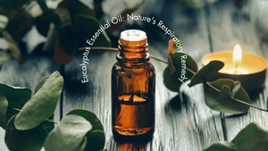 Eucalyptus Essential Oil: Nature's Respiratory Remedy